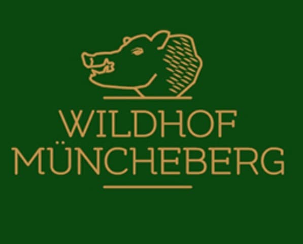 Logo 7